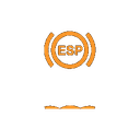ESP / Traction Control Warning Light icon