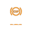 ESP / Traction Control Warning Light icon